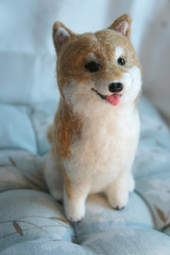 羊毛フェルト リアル柴犬 カスタマイズ (15cm大) 羊毛フェルト 毛毛兔