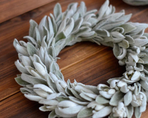 最終価格☆ドライフラワー　リース　ラムズイヤー　バラ　ハーフリース 最終価格☆ドライフラワー リース ラムズイヤー バラ ハーフリース