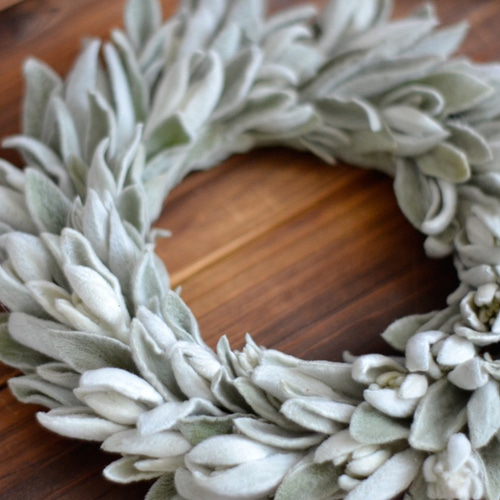 信州のラムズイヤーリース29cm＊ハーブ＊ドライフラワーリース＊アロマ