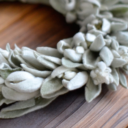 信州のラムズイヤーリース29cm＊ハーブ＊ドライフラワーリース＊アロマ