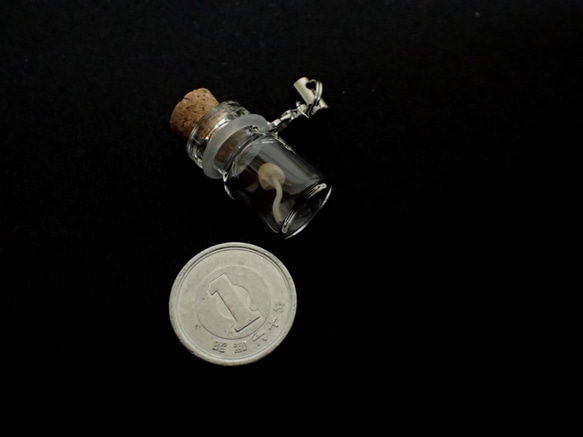 光るキノコ「アリノトモシビタケ」コルク瓶ストラップＳＳ 3枚目の画像