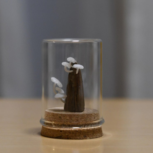 光るキノコ「ホシノヒカリタケ」コルク瓶004 その他インテリア雑貨