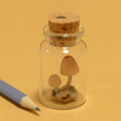 光るキノコ「シイノトモシビタケ」極小コルク瓶007 3枚目の画像