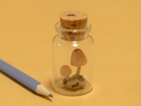 光るキノコ「シイノトモシビタケ」極小コルク瓶007 3枚目の画像
