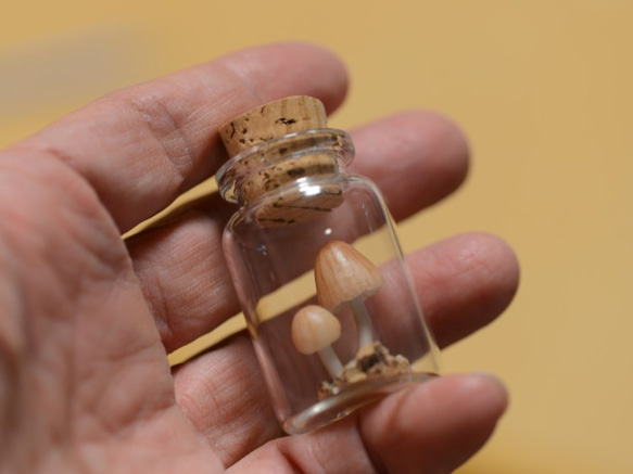 光るキノコ「シイノトモシビタケ」極小コルク瓶007 4枚目の画像