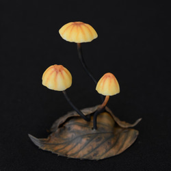 ハリガネオチバタケ（針金落葉茸）」キューブ001 その他インテリア雑貨