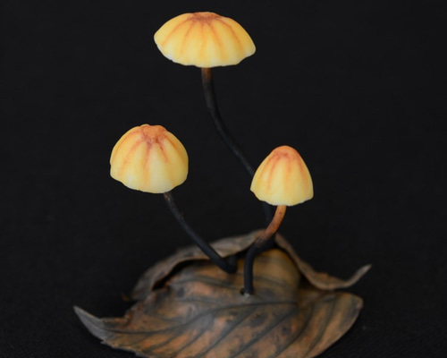 1_4d915ce68be394369601f3ae56b1