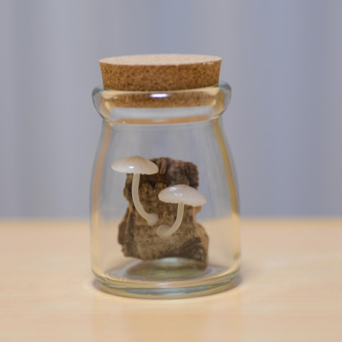 樹皮コルクで覆われたガラス瓶