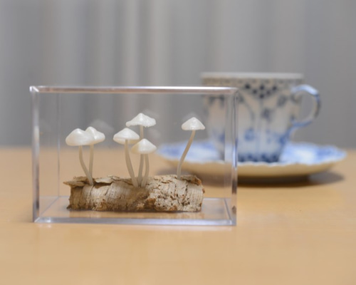 光るキノコ「アミヒカリタケ」キューブ002 その他インテリア雑貨