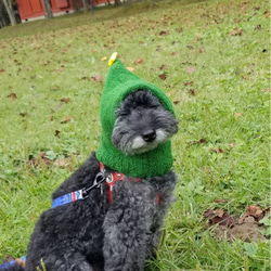 犬用 クリスマスツリー 手編みニット帽 1枚目の画像