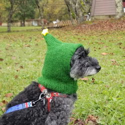 犬用 クリスマスツリー 手編みニット帽 3枚目の画像