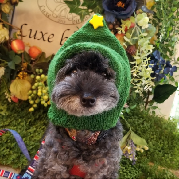 犬用 クリスマスツリー 手編みニット帽 5枚目の画像