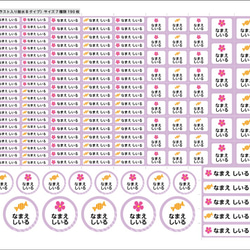  第7張的照片