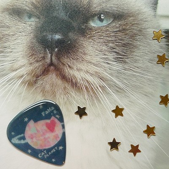 FaMa s Pick吉他彈片 原來 貓星球長這樣 第4張的照片