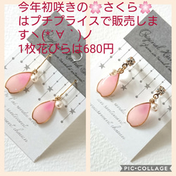 再販❤初咲きさくらの花びら  ピアス＆イヤリング 2枚目の画像