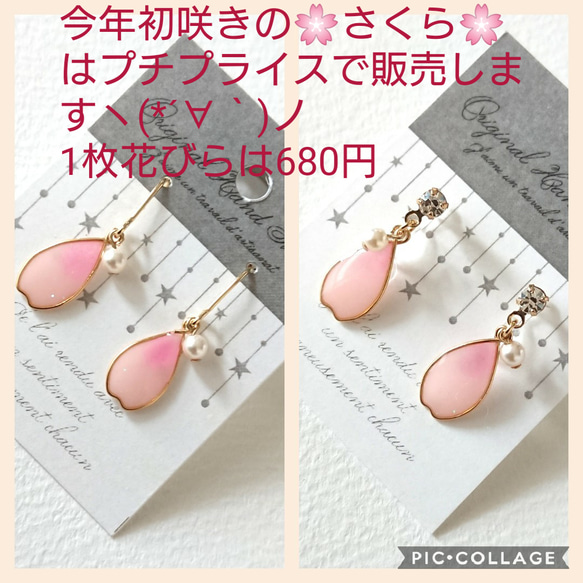 再販❤初咲きさくらの花びら  ピアス＆イヤリング 2枚目の画像