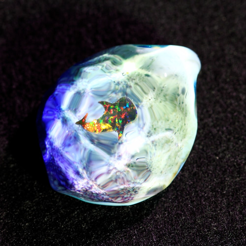 ノーザンライツ（水）ジンベイザメ