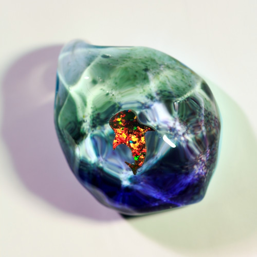 ノーザンライツ（水）ジンベイザメ