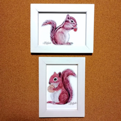 リスの絵 リスの絵 複製画 （ハガキサイズ） 2種セット 絵画 TOKYOALICE 通販