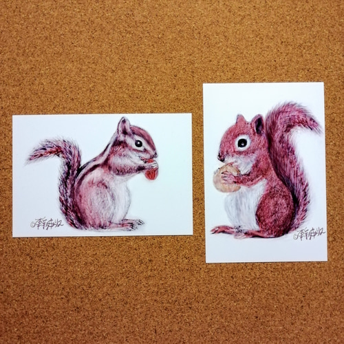 リスの絵 リスの絵 複製画 （ハガキサイズ） 2種セット 絵画 TOKYOALICE 通販