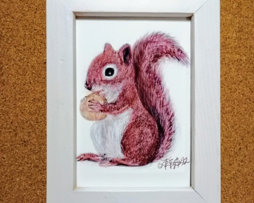 送料無料500円キャンペーン実施中！リスの絵 複製画 「赤りす」 フォト
