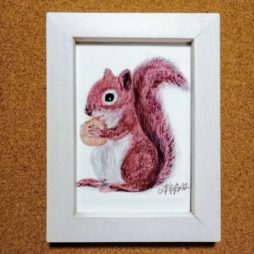 送料無料500円キャンペーン実施中！リスの絵 複製画 「赤りす」 フォト
