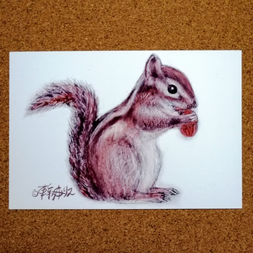 送料無料500円キャンペーン実施中！ リスの絵 複製画 （ハガキサイズ