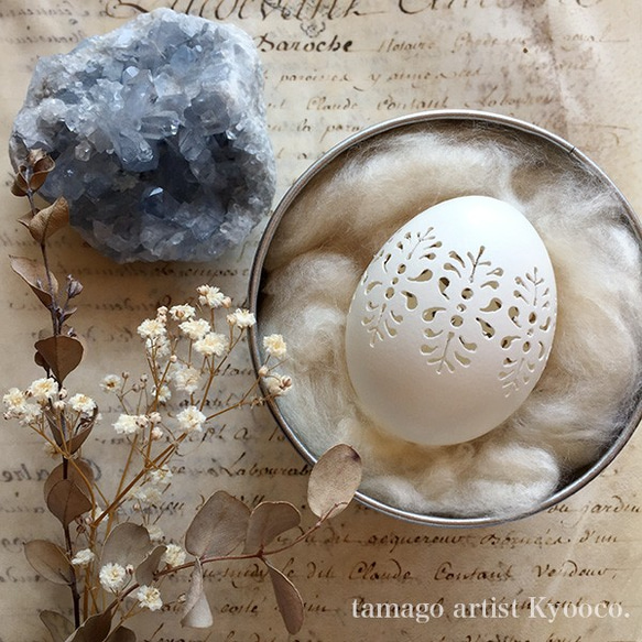 たまごの標本】 立体・オブジェ たまごアーティスト響co. 通販