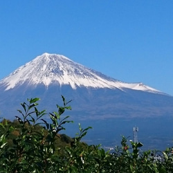 富士山のキーホルダー 天然木（センノキ/エンジュ） 3枚目の画像