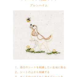 バックステッチで出来るキャバリア刺繍キット・ブレン 1枚目の画像