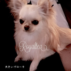 Royalteaちゃん専用ページ 2枚目の画像