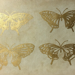 蝶々 1枚目の画像