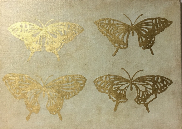 蝶々 1枚目の画像