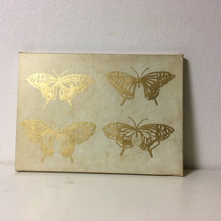 蝶々 2枚目の画像