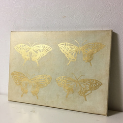 蝶々 3枚目の画像