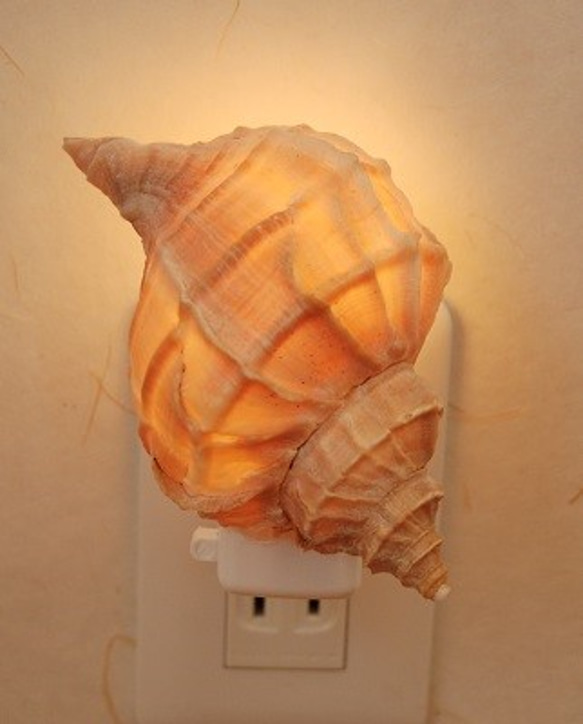 巻き貝のライト