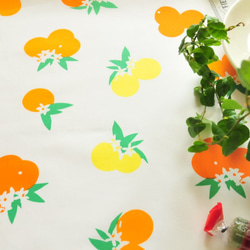 Citrus Sunrise  -ART GALLERY FABRICS -Fiesta Fun 2枚目の画像