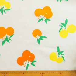 Citrus Sunrise  -ART GALLERY FABRICS -Fiesta Fun 3枚目の画像