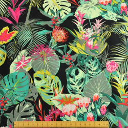 Tropicalia Dark  -ART GALLERY FABRICS -EST 5枚目の画像