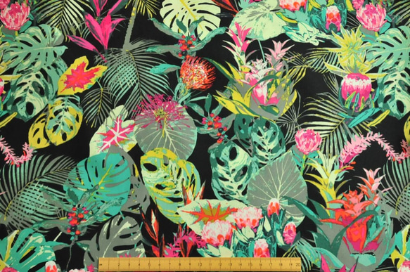 Tropicalia Dark  -ART GALLERY FABRICS -EST 5枚目の画像