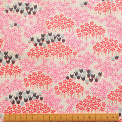 生地TipToe Frolic  -ART GALLERY FABRICS -DHS 4枚目の画像