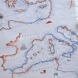 生地 Cartographe -ART GALLERY FABRICS　-Mediterraneo 3枚目の画像
