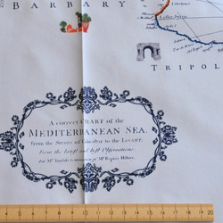 生地 Cartographe -ART GALLERY FABRICS　-Mediterraneo 4枚目の画像