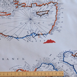 生地 Cartographe -ART GALLERY FABRICS　-Mediterraneo 5枚目の画像