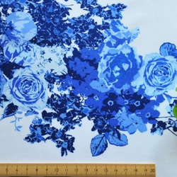 生地 Bloesem Royal  -ART GALLERY FABRICS 3枚目の画像