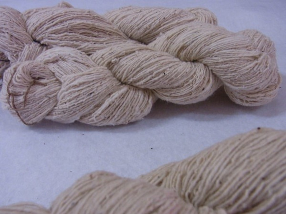 e-cotton(eco＋cotton)手紡ぎ糸かせ　生成り 1枚目の画像