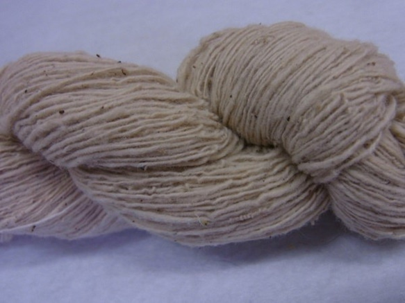 e-cotton(eco＋cotton)手紡ぎ糸かせ　生成り 2枚目の画像