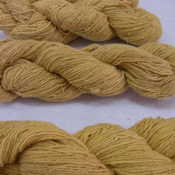 木綿手紡ぎ糸かせ　e-cotton(eco＋cotton)　草木染め糸かせ　黄色 1枚目の画像