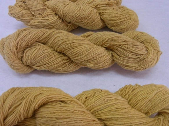 木綿手紡ぎ糸かせ　e-cotton(eco＋cotton)　草木染め糸かせ　黄色 1枚目の画像