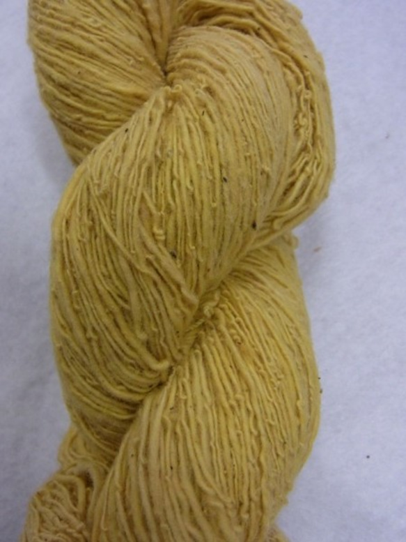 木綿手紡ぎ糸かせ　e-cotton(eco＋cotton)　草木染め糸かせ　黄色 2枚目の画像